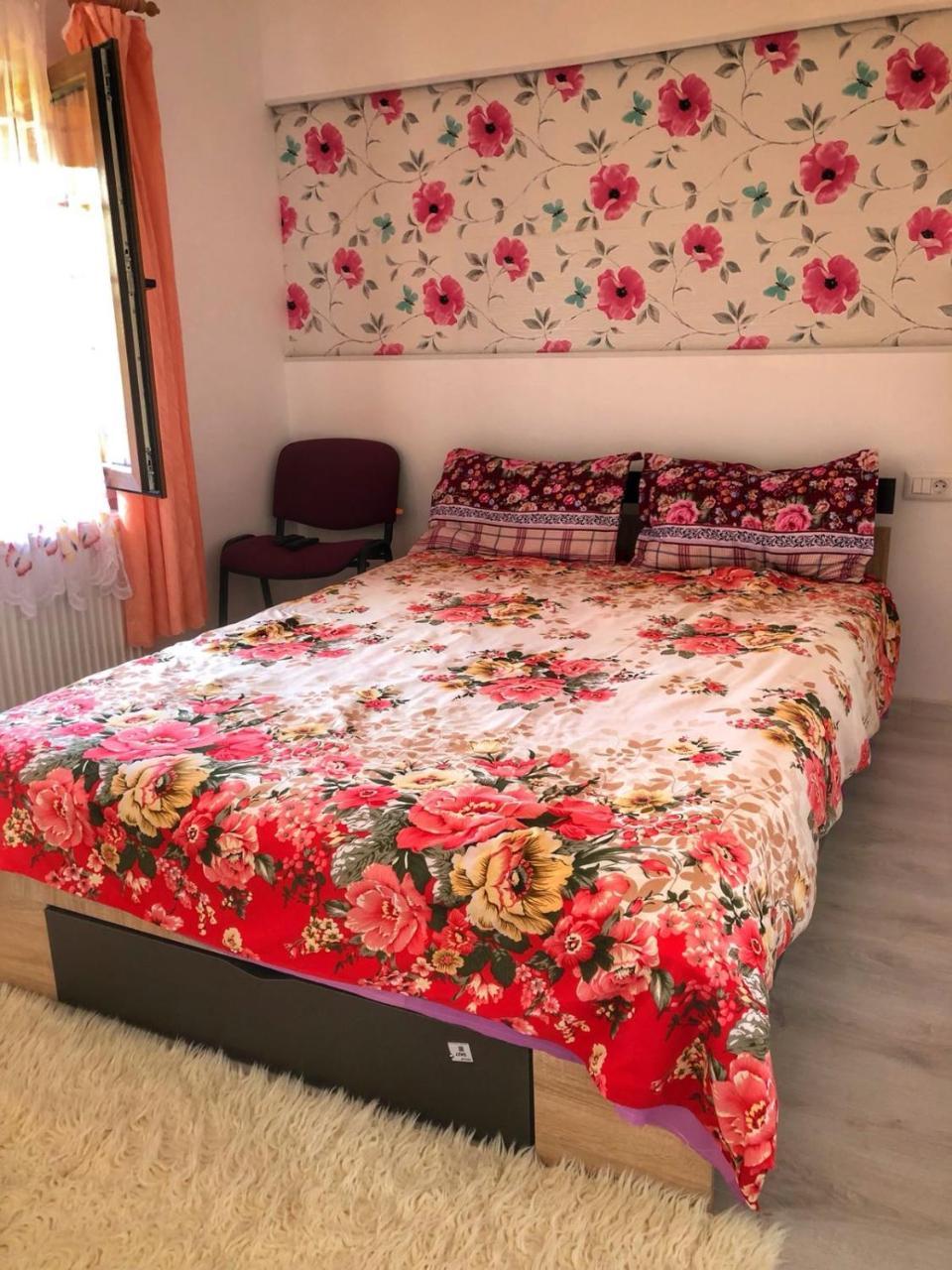 锡比乌Casa Simion别墅 外观 照片
